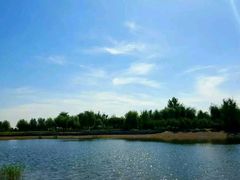 -永定河休闲森林公园