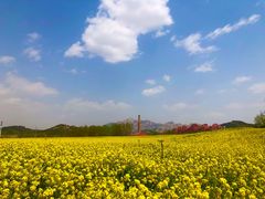 -西海岸生态观光园
