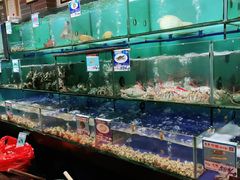 水产区-南海渔家•海鲜•正宗海南菜(海棠湾店)