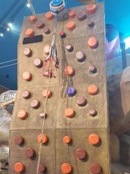 -卡通尼·Safari非洲探索乐园·生日会(金桥国际商业广场店)