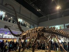 -自贡恐龙博物馆