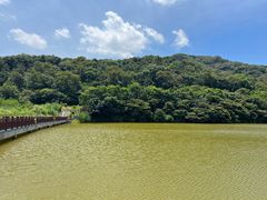 -黄埔油麻山森林公园