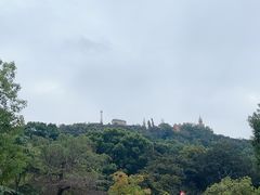 -上海佘山国家森林公园西佘山园