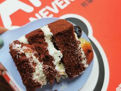 -熊猫不走生日蛋糕(东城店)