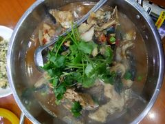 千岛湖有机鱼一锅炖-全乐鱼馆·淳牌有机鱼直营店
