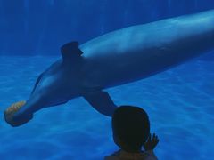 -华夏文旅海洋公园