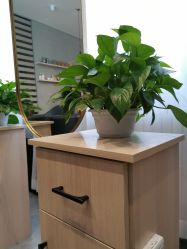 -MOVAN HAIR莫凡匠人发型屋