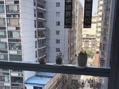 -极光口腔·矫正种植修复(锦江店)