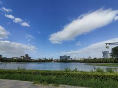 -莲花池公园