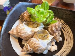 海螺-Mr.Fish鱼鲜生海鲜放题(高德置地冬广场店)
