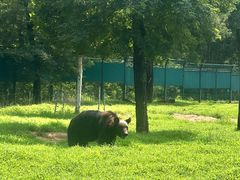 -秦皇岛野生动物园