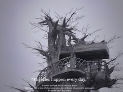 -芒洲湿地公园