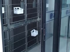 -宠颐生动物医院·小陆分院
