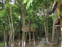 -象山森林公园