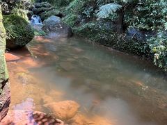 -赤水丹霞旅游区·大瀑布