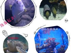 -多彩贵州城极地海洋世界