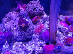 -太平洋海底世界