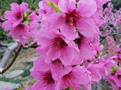 -北京师范大学邱季端体育馆