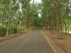 -东郊湿地公园