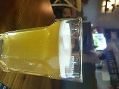 -百好乐宠物友好餐厅(朝外大街店)