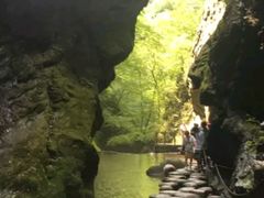 -牛背梁国家森林公园