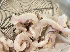 -正能量脆肉鲩火锅