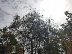 -中国移动南方基地