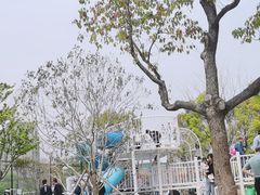 -新江湾城公园