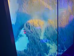 -音乐派KTV(银泰城店)
