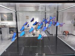 -酷嗒动物文化乐园(cutezoo西溪乐天城店)