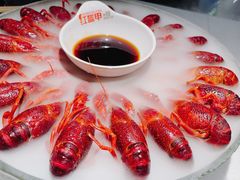 经典冰镇龙虾-红盔甲·小龙虾(天钥桥店)