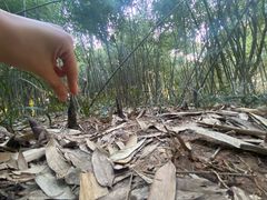 -菊花台公园