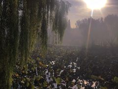 -宝泉胜境旅游度假区