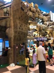 -卡通尼·Safari非洲探索乐园·生日会(金桥国际商业广场店)