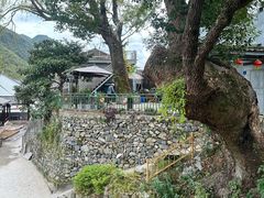 -鹿亭中村