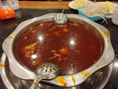 -冯记香辣兔火锅(茶店子总店)