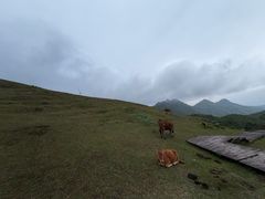 -天龙顶山地公园
