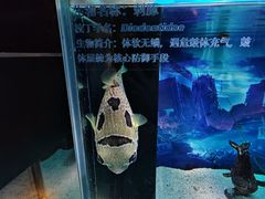 -南昌融创海世界