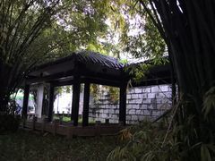 -杨婆婆烤肉(文昌阁店)