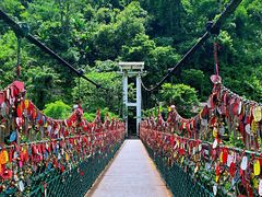 -西双版纳原始森林公园