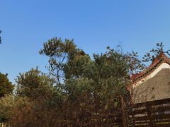 -深圳国际园林花卉博览园