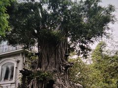 -荔湾博物馆