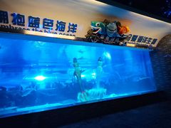 -成都浩海立方海洋公园