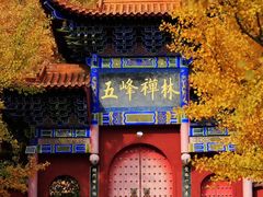 -遵化市禅林寺古银杏风景园