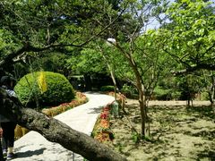 -庐山风景区花径公园