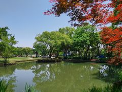 -无锡梅园公园