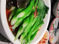 -新白鹿餐厅(松江开元地中海店)