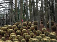 -南山植物园