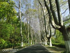 -WeLope紫金山探险公园