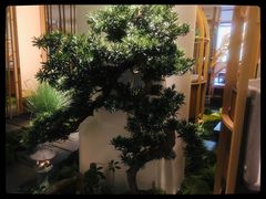 -梅间堂茶馆(绿地缤纷城店)